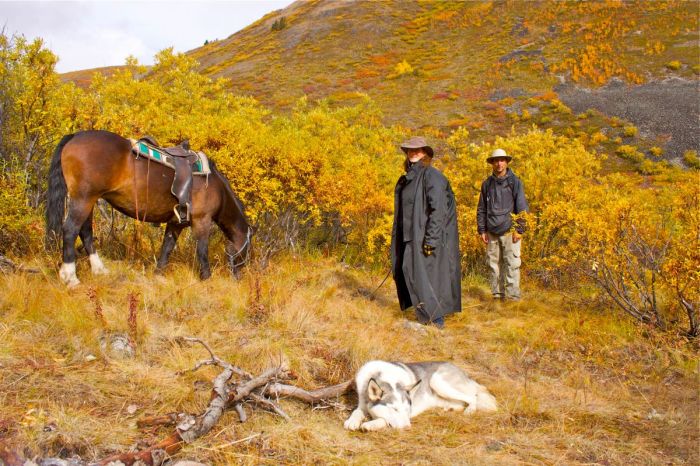 Grizzly Mountain Ritte