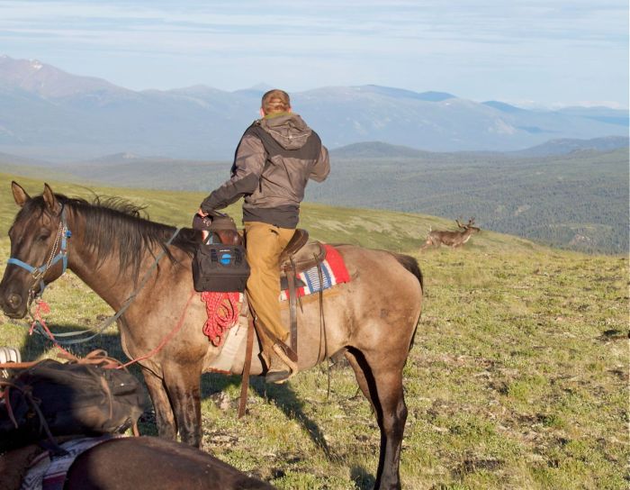 Grizzly Mountain Ritte