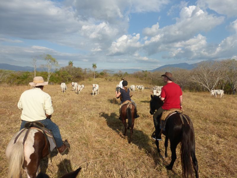 Costa Rica Odyssey Ritt