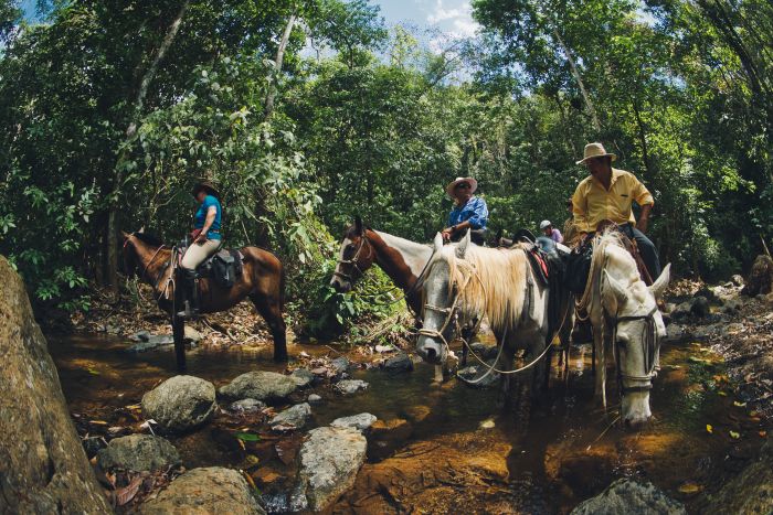 Carara Regenwald & Küsten Trail