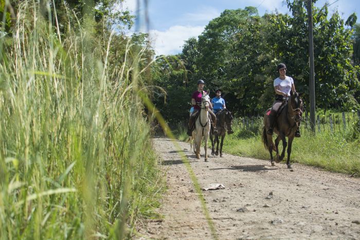 Carara Regenwald & Küsten Trail