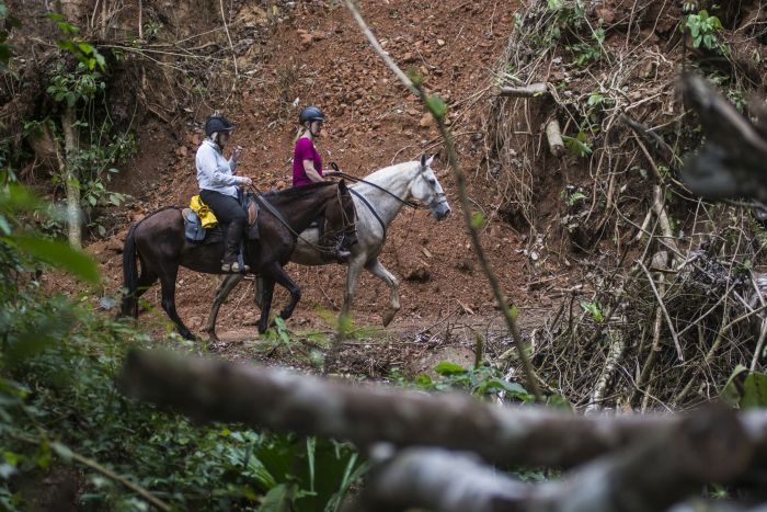 Carara Regenwald & Küsten Trail