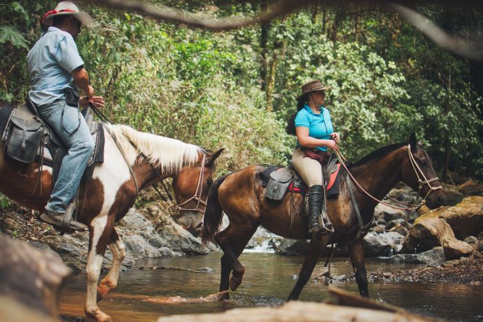 Carara Regenwald & Küsten Trail