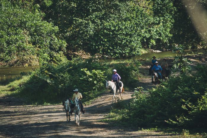 Carara Regenwald & Küsten Trail