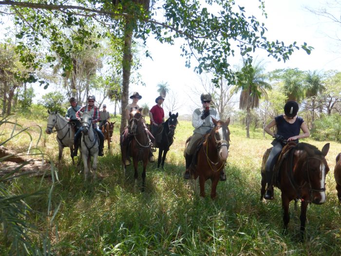 Von Küste zu Küste in Costa Rica