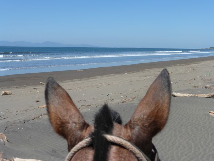 Von Küste zu Küste in Costa Rica