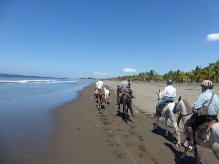 Von Küste zu Küste in Costa Rica