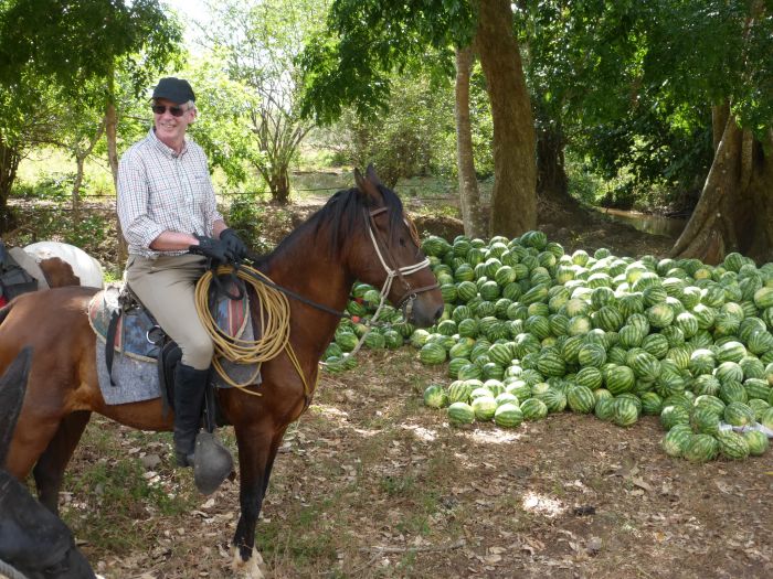 Von Küste zu Küste in Costa Rica