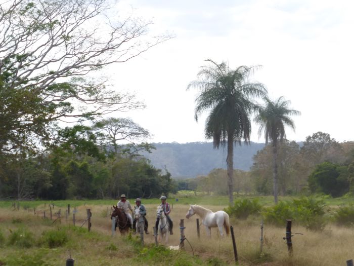 Von Küste zu Küste in Costa Rica