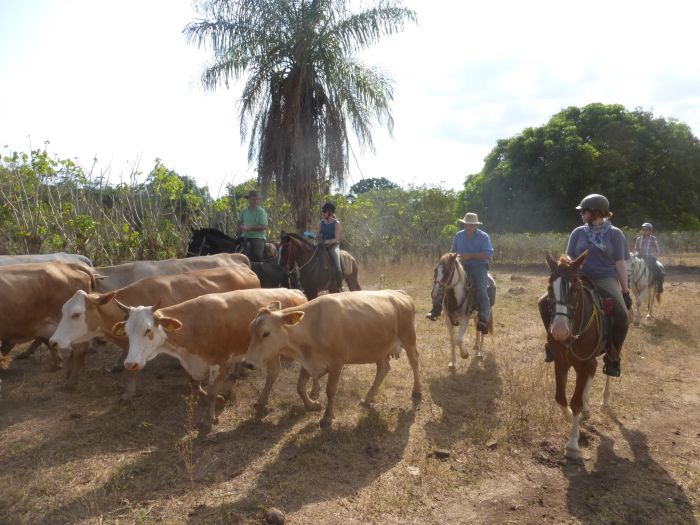 Von Küste zu Küste in Costa Rica