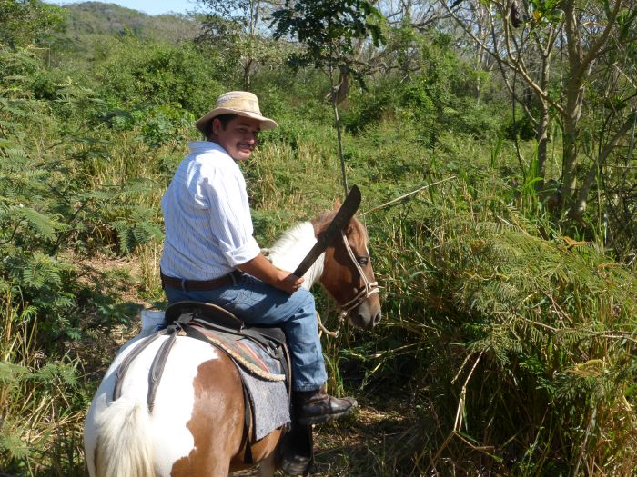 Von Küste zu Küste in Costa Rica