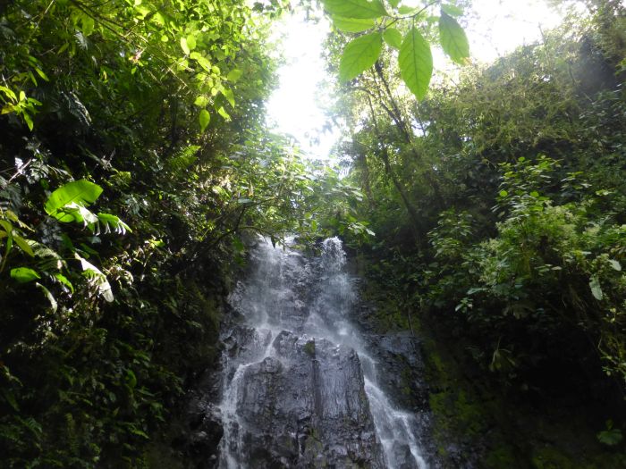 Von Küste zu Küste in Costa Rica