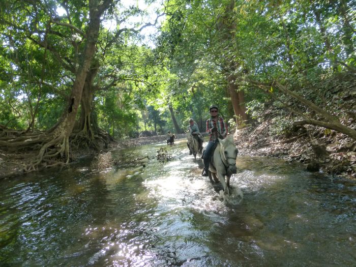 Von Küste zu Küste in Costa Rica