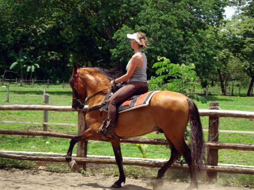 Old Spanish Trail Guanacaste