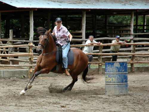 Old Spanish Trail Guanacaste