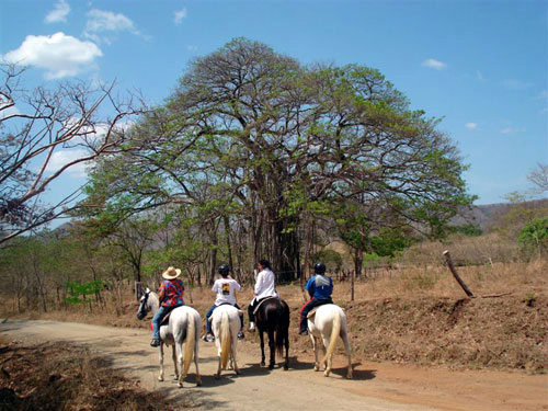 Old Spanish Trail Guanacaste