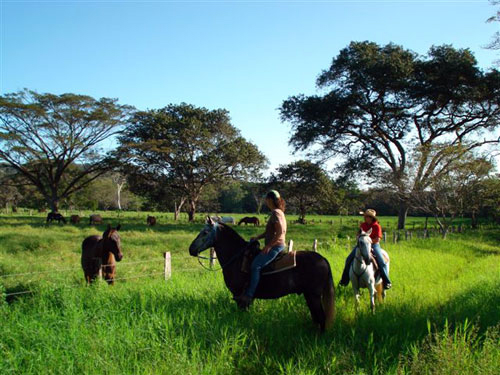 Old Spanish Trail Guanacaste