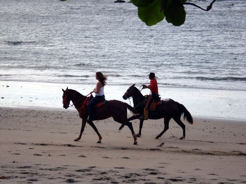 Old Spanish Trail Guanacaste