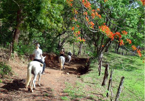 Old Spanish Trail Guanacaste