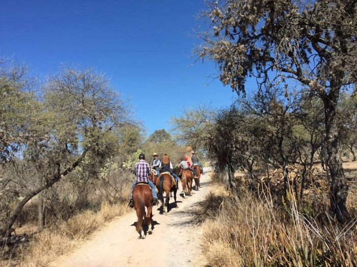 Tequila Trail an der Silberroute