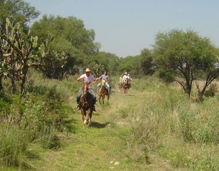 Tequila Trail an der Silberroute