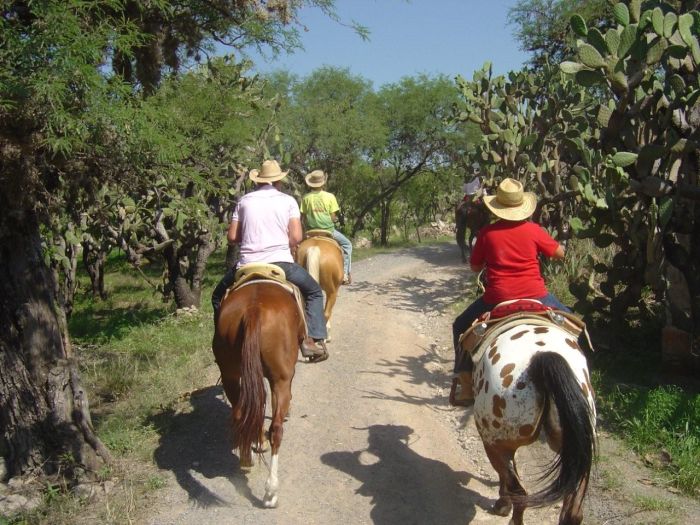 Tequila Trail an der Silberroute