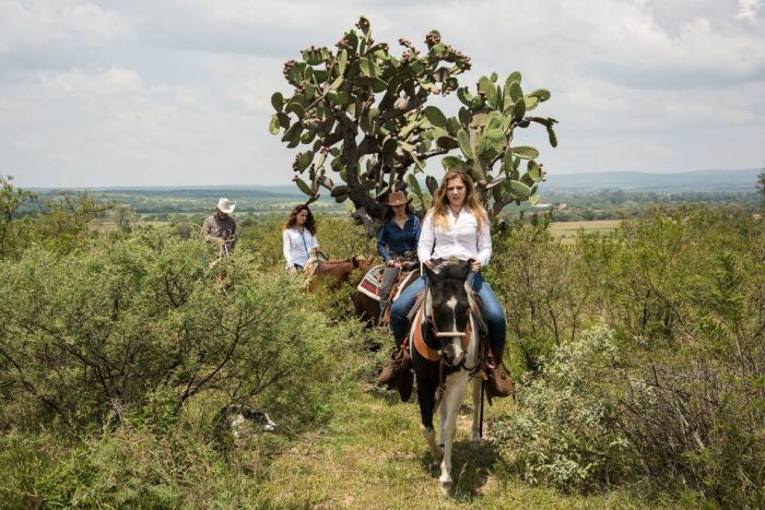 Tequila Trail an der Silberroute