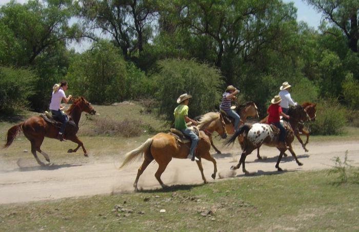 Tequila Trail an der Silberroute