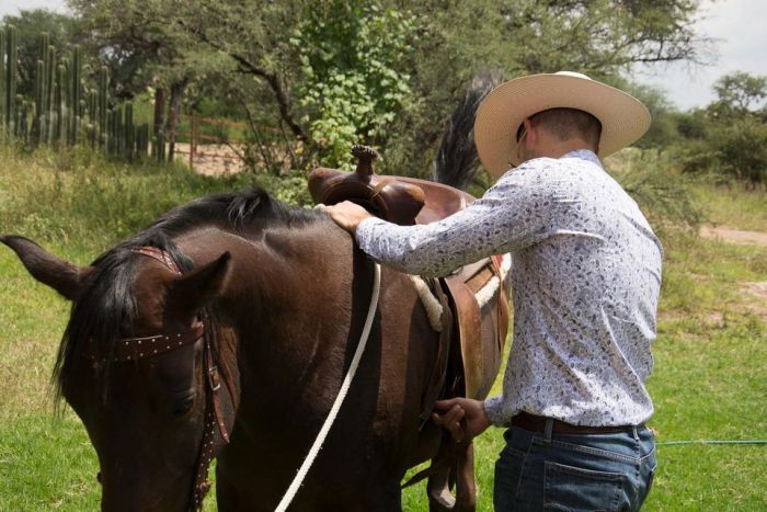 Tequila Trail an der Silberroute