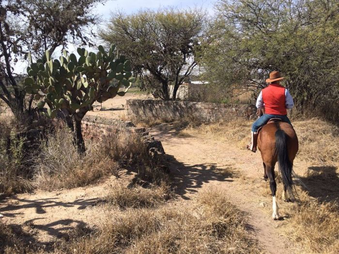 Tequila Trail an der Silberroute