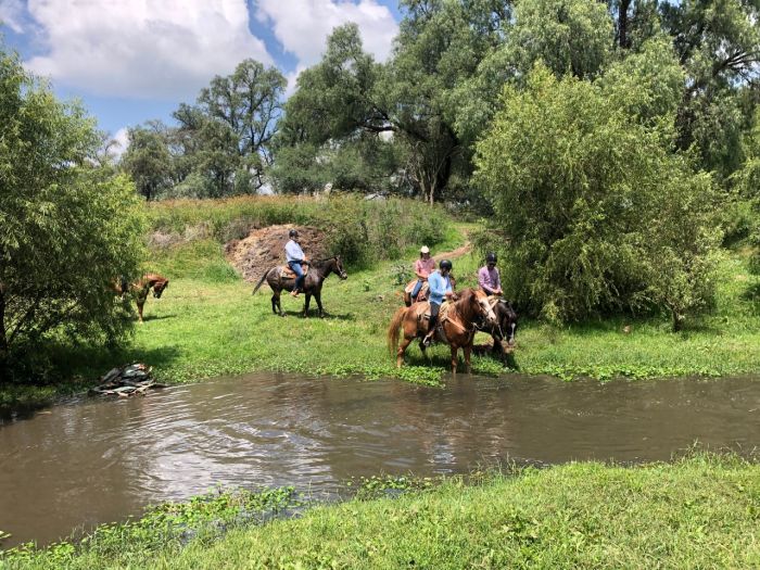 Tequila Trail an der Silberroute