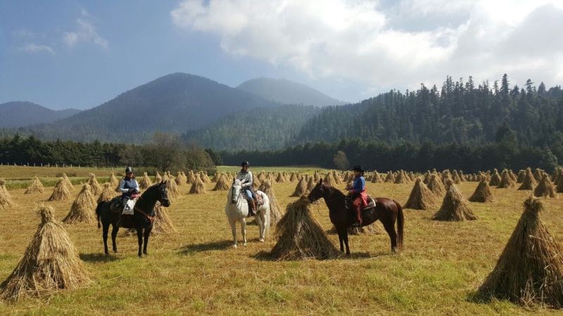 Ajusco Vulkan- und Wildnisritte