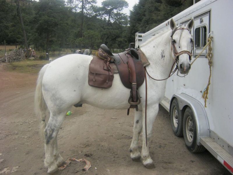 Ajusco Vulkan- und Wildnisritte