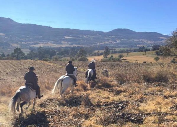 Ajusco Vulkan- und Wildnisritte