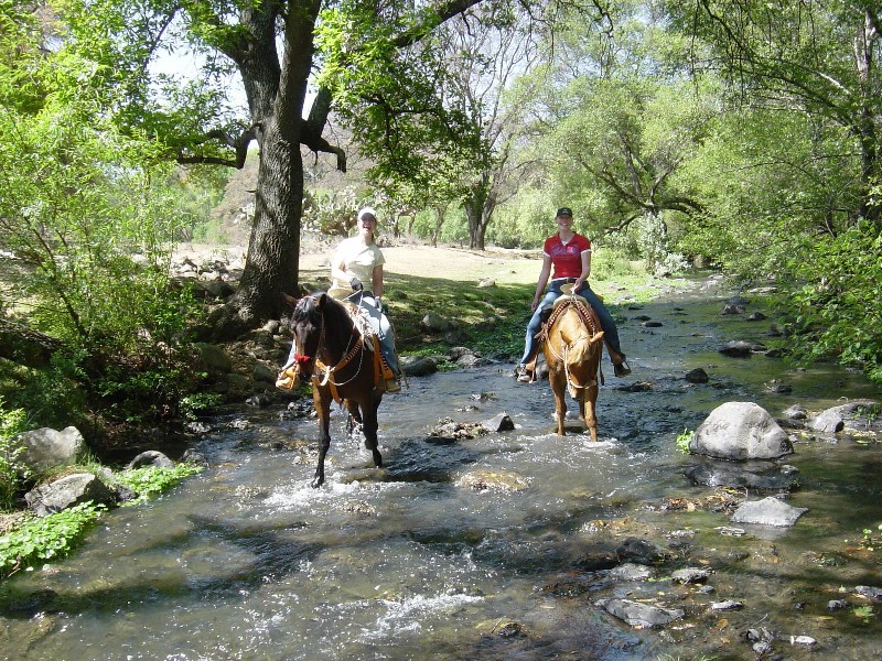 Rancho Mexicana