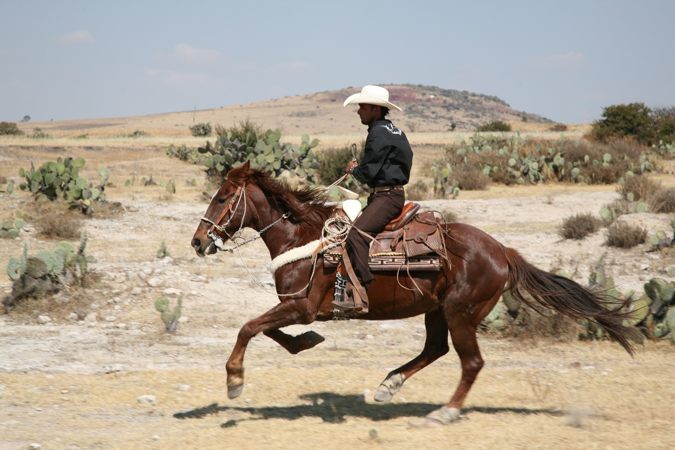 Rancho Mexicana