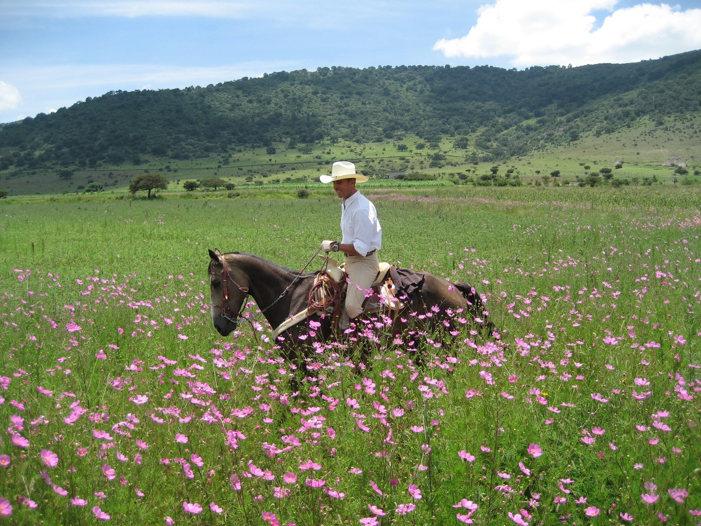 Rancho Mexicana