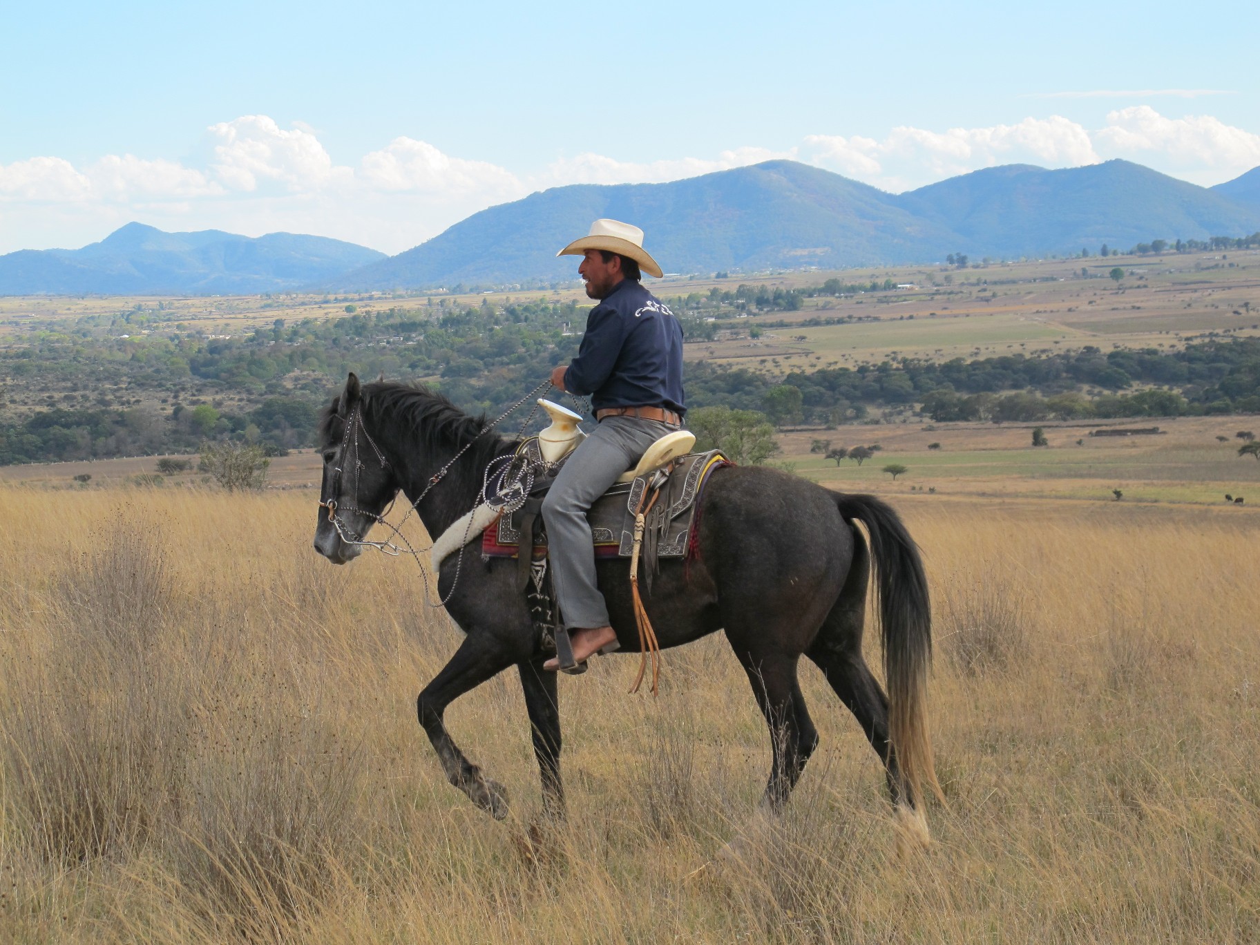 Rancho Mexicana