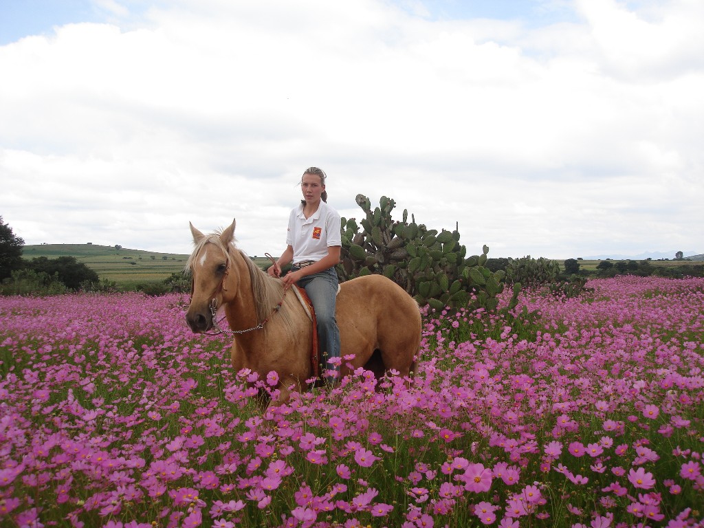 Rancho Mexicana