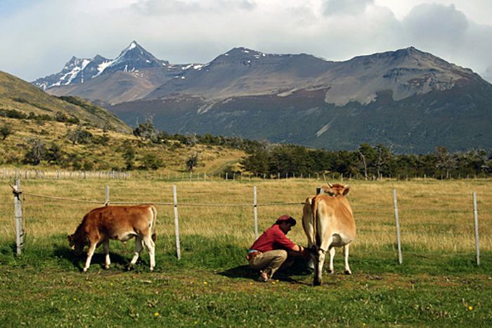 Patagonien Gletscher Ritt