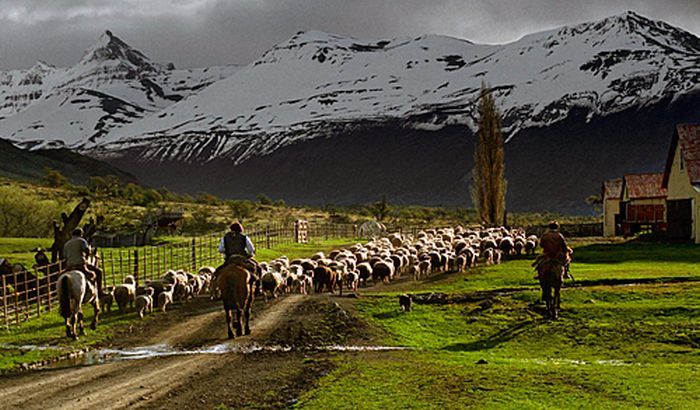 Patagonien Gletscher Ritt