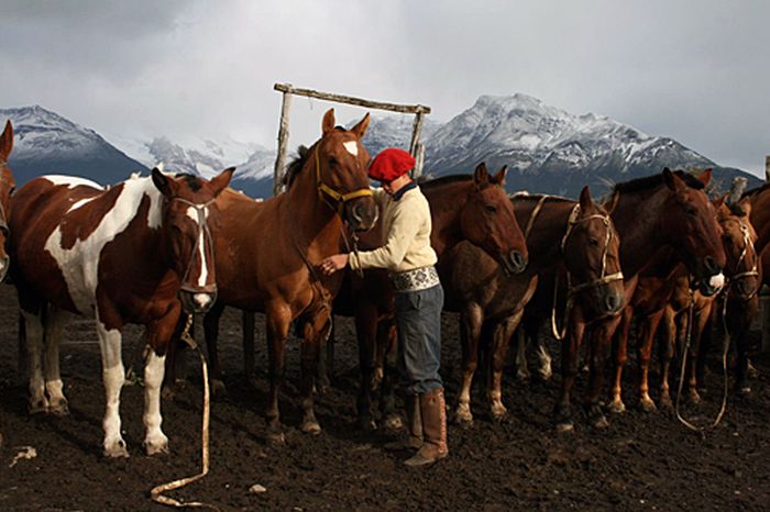 Patagonien Gletscher Ritt