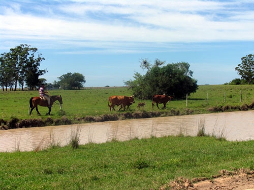 El Dorado Ritt