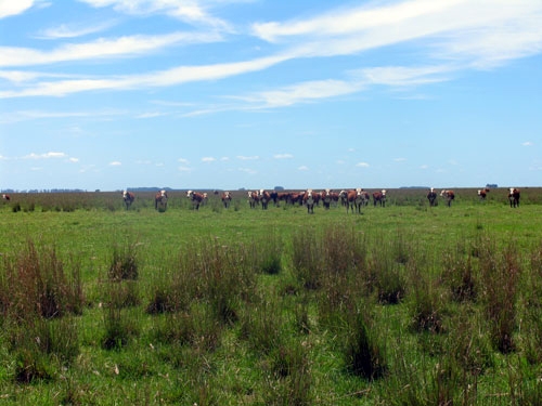 El Dorado Ritt