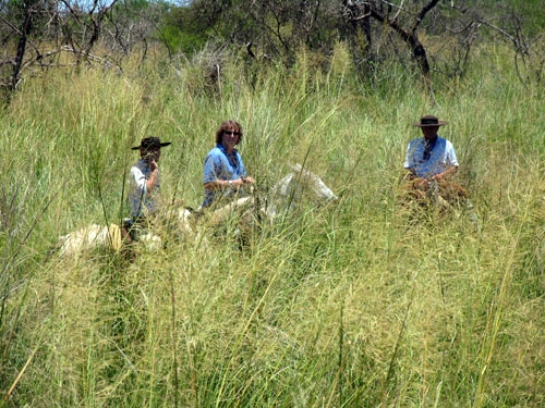 El Dorado Ritt