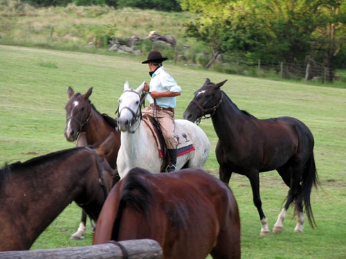 Estancia in der Sierra Chicas