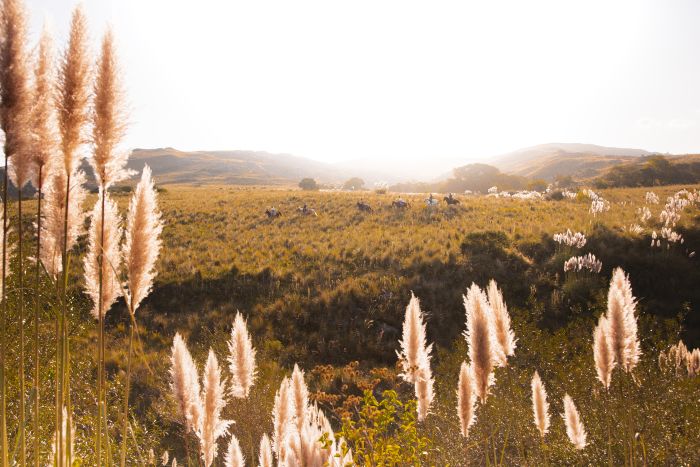 Komfort Estancia in der Sierra Chicas