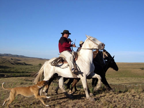 Estancia in der Sierra Chicas