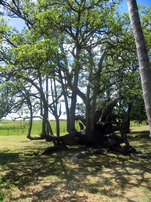 Estancia in der Sierra Chicas