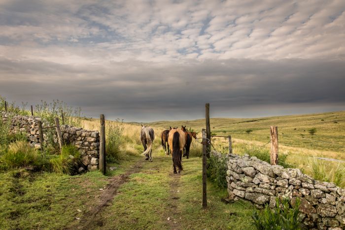 Komfort Estancia in der Sierra Chicas